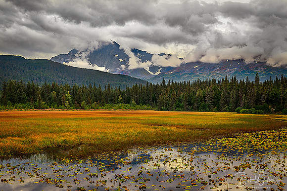 Early Autumn in the Chugach Mountains, Kenai Peninsula, Alaska