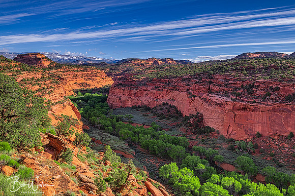 Long Canyon of Grand Staircase Escalante National Monument, Utah