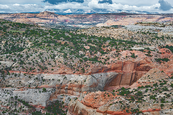 Grand Staircase Escalante National Monument, Utah