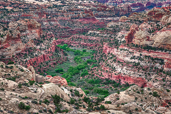 One of the Many Canyons at Grand Staircase Escalante National Monument