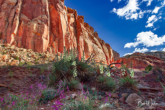 Capitol Reef National Park, Utah