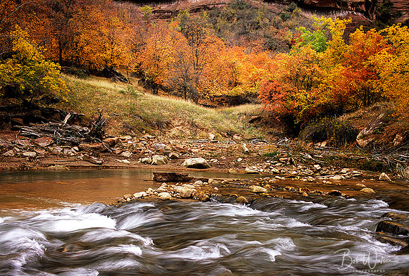 Autumn at the Virgin River, Zion National Park, Utah
