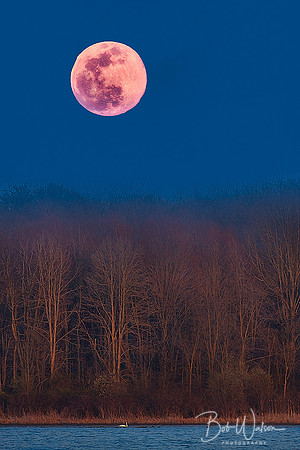 April 7, 2020 Pink Supermoon