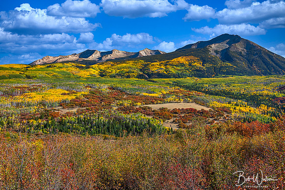 Kebler Pass, Colorado in Autumn