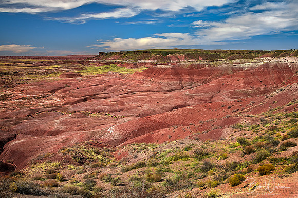 Painted Desert, Arizona