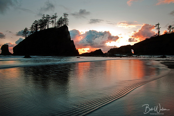 Sunset on the Sea Stacks at Second Beach, Olympic National Park, Washington