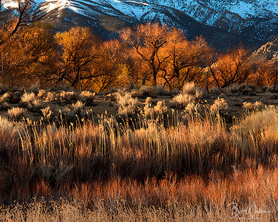 Owens Valley  on the Eastern side of the Sierra Nevada Mountains