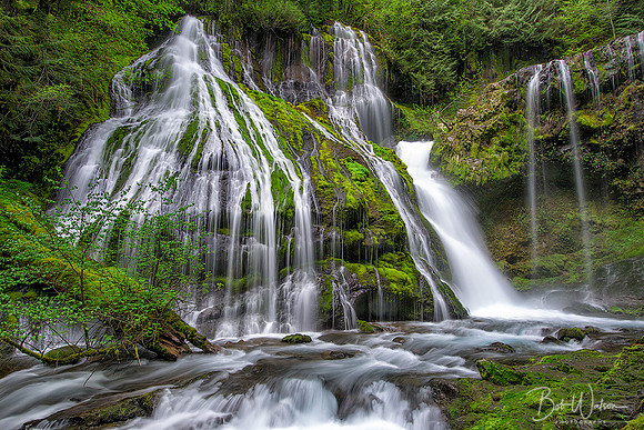 Panther Creek Falls, Washington