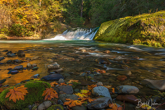 Salmon Creek Falls, Oregon