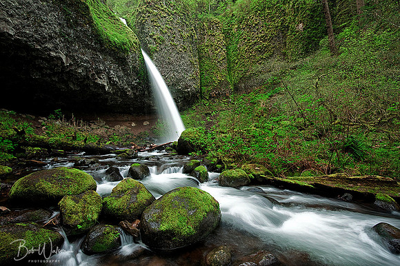 Pony Tail Falls