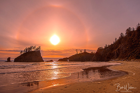 Sundong at Second Beach, Olympic National Park, Washington