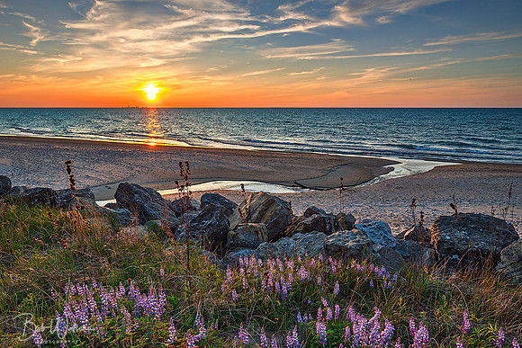 Indiana Dunes National Park, Lake Michigan Lakeshore