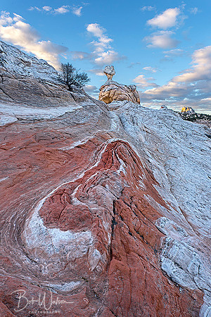 White Pocket of Vermillion Cliffs National Monument