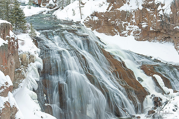 Fresh snow at Gibbon Falls, Yellowstone National Park