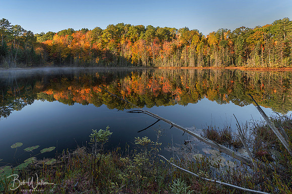 Morning Reflection