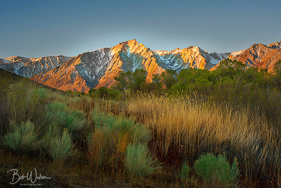 Morning Light