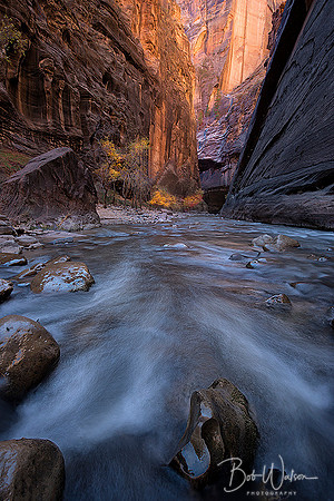 The Narrows, Zion National Park, Utah
