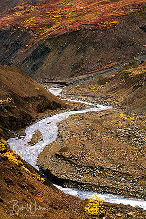Stony Creek Canyon, Denali National Park