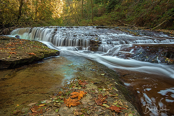 Sweet Creek Falls, Oregon